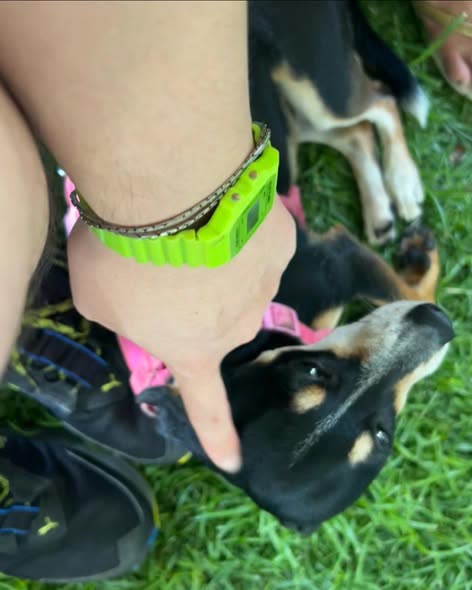 LOST ITEM - Oahu | SSH Search
