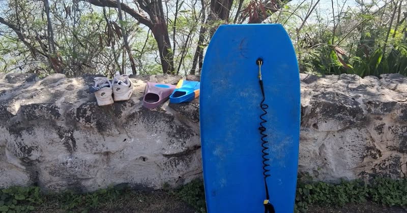 FOUND ITEM - Oahu | SSH Search