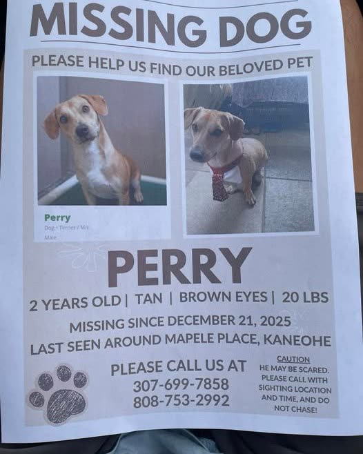 LOST PET - Oahu | SSH Search