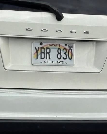 HIT AND RUN - Oahu | SSH Search