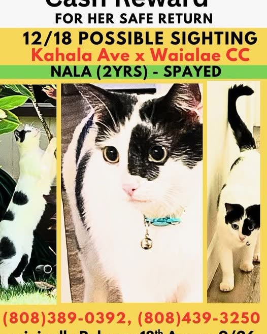 LOST PET - Oahu | SSH Search