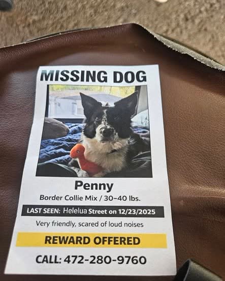 FOUND PET - Oahu | SSH Search