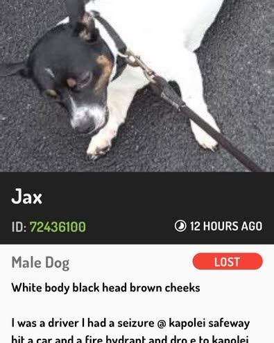 LOST PET - Oahu | SSH Search