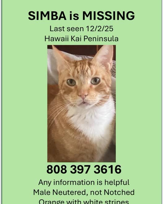 LOST PET - Oahu | SSH Search