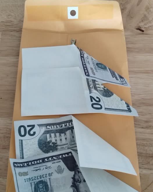 WARNING/SCAM - Oahu | SSH Search