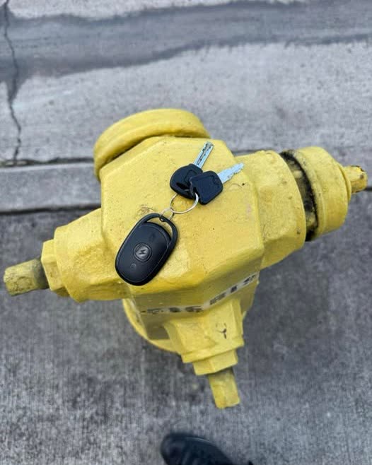 FOUND ITEM - Oahu | SSH Search