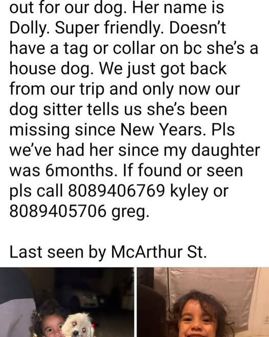 LOST PET - Oahu | SSH Search