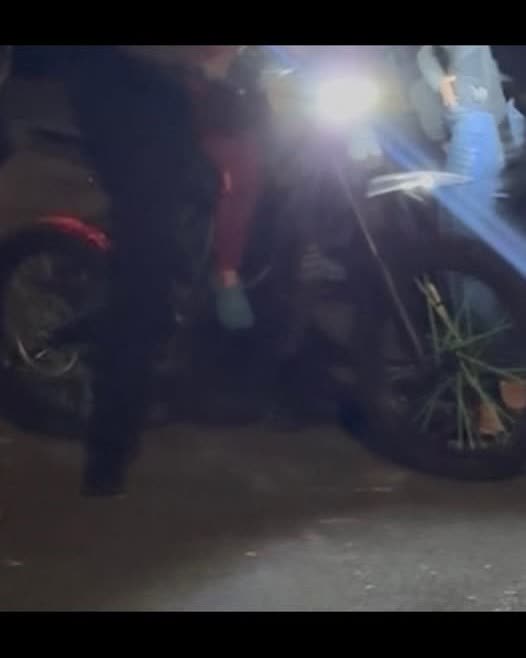VEHICLE THEFT - Oahu | SSH Search