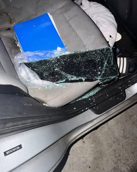 VEHICLE THEFT - Oahu | SSH Search