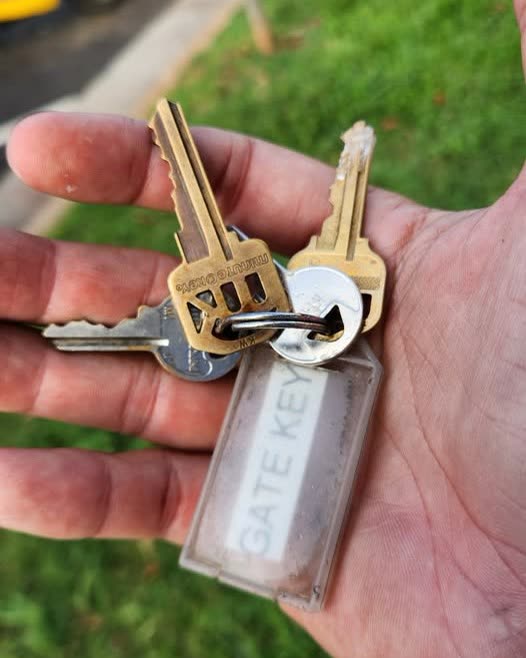 FOUND ITEM - Oahu | SSH Search