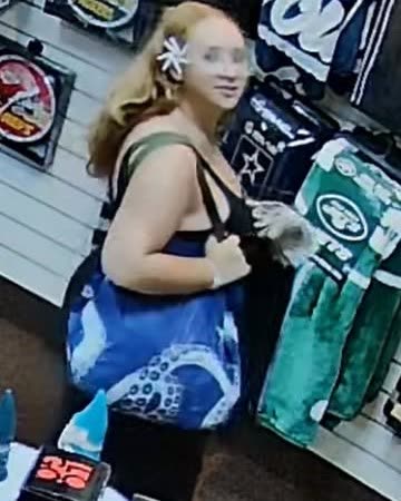 THEFT - Hawaii | SSH Search