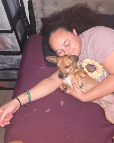 LOST PET - Oahu | SSH Search