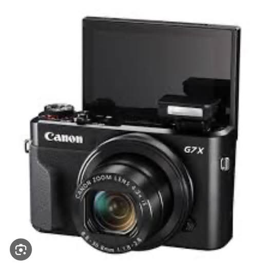 LOST ITEM - Oahu | SSH Search