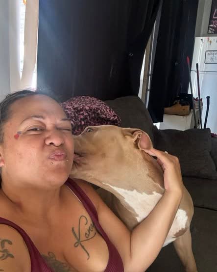 LOST PET - Oahu | SSH Search