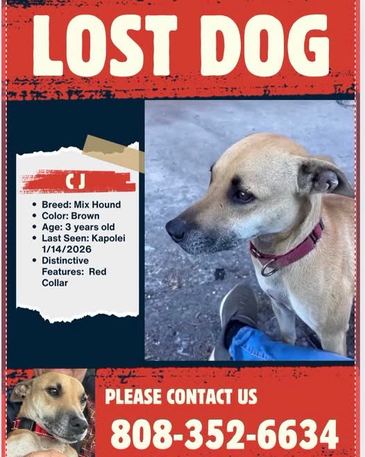 LOST PET - Oahu | SSH Search
