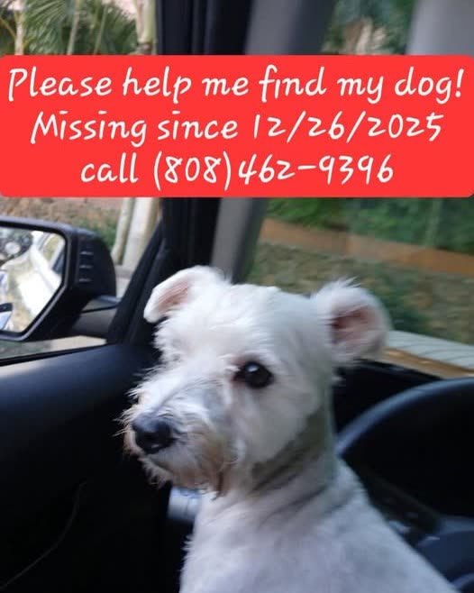 LOST PET - Oahu | SSH Search