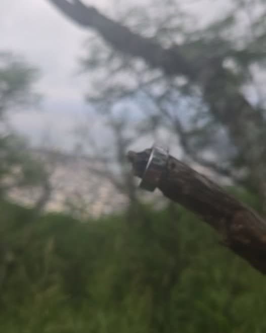 FOUND ITEM - Oahu | SSH Search