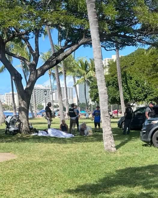 AWARENESS - Oahu | SSH Search