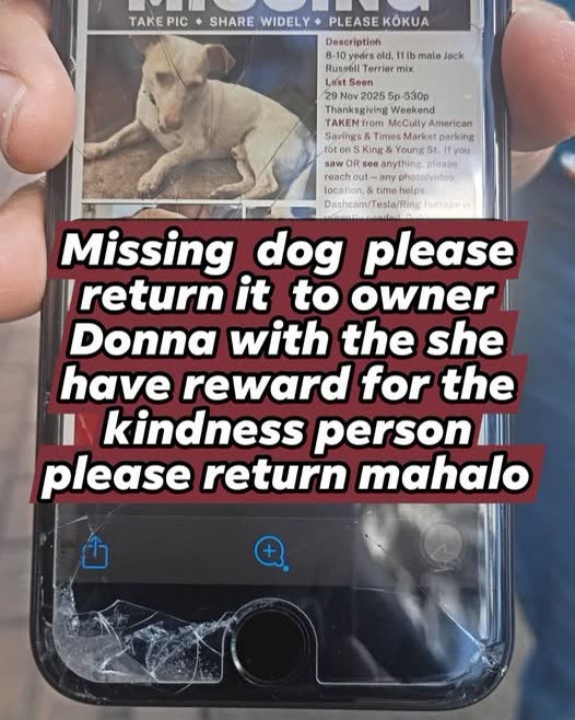 LOST PET - Oahu | SSH Search