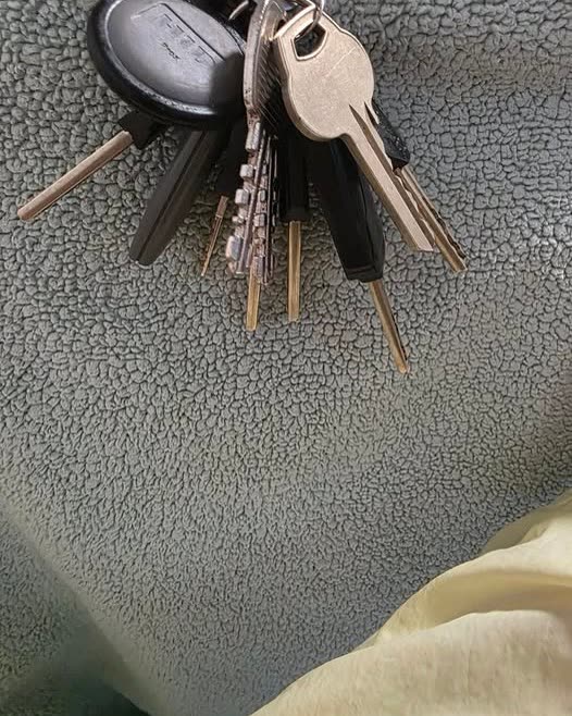 FOUND ITEM - Oahu | SSH Search