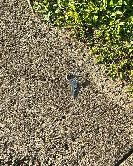 FOUND ITEM - Oahu | SSH Search