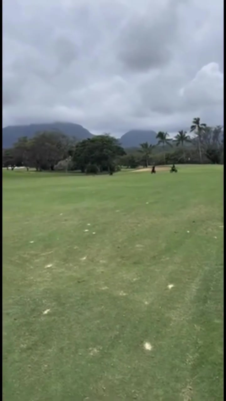 VANDALISM - Unknown | Stolen Stuff Hawaii