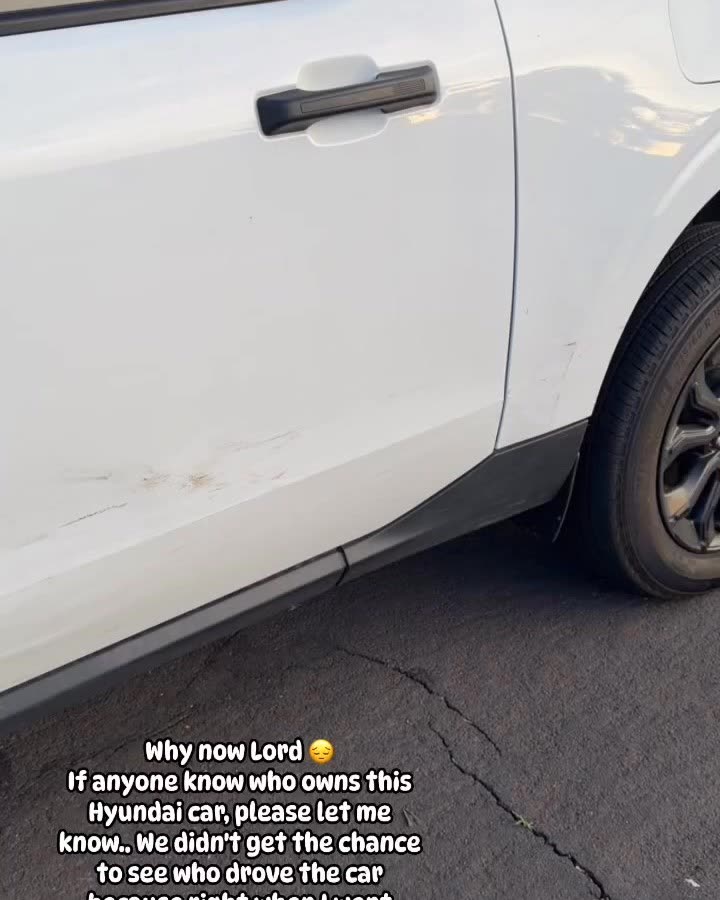 HIT AND RUN - Oahu | SSH Search