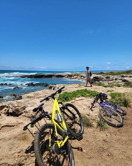THEFT - Oahu | SSH Search