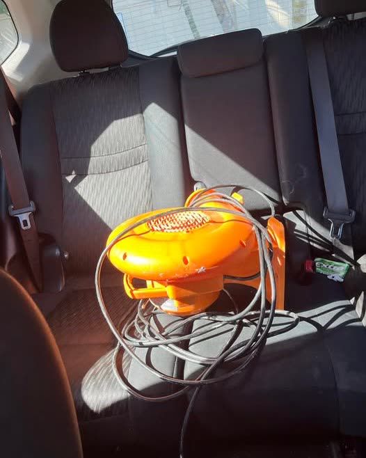FOUND ITEM - Oahu | SSH Search
