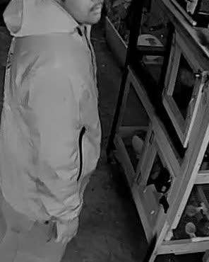 THEFT - Oahu | SSH Search