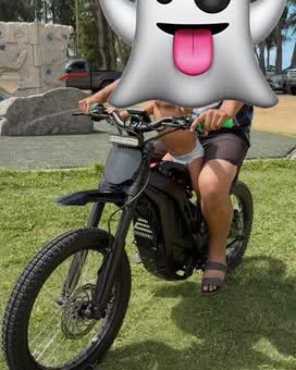 VEHICLE THEFT - Oahu | SSH Search
