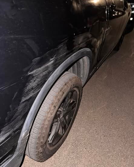 HIT AND RUN - Oahu | SSH Search