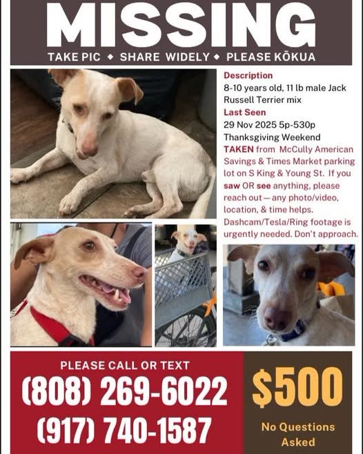LOST PET - Oahu | SSH Search