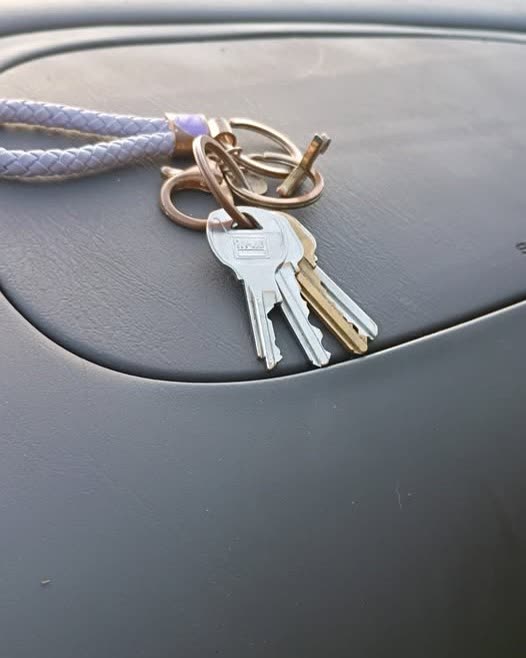 FOUND ITEM - Oahu | SSH Search
