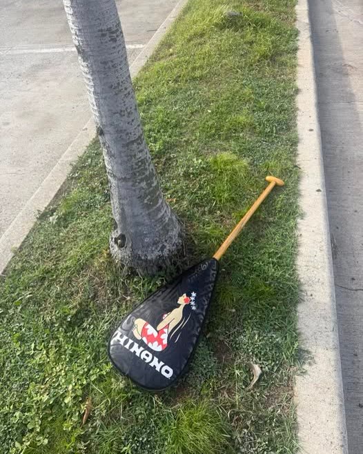 FOUND ITEM - Oahu | SSH Search