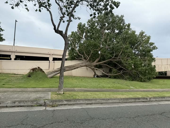 WEATHER ALERT - Oahu | SSH Search