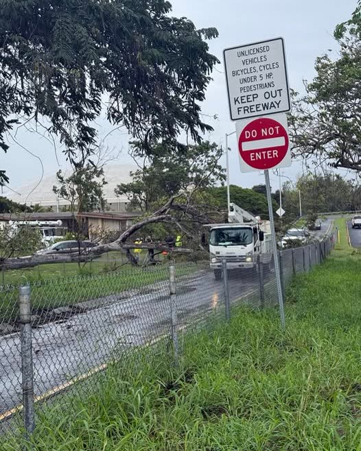 WEATHER ALERT - Oahu | SSH Search