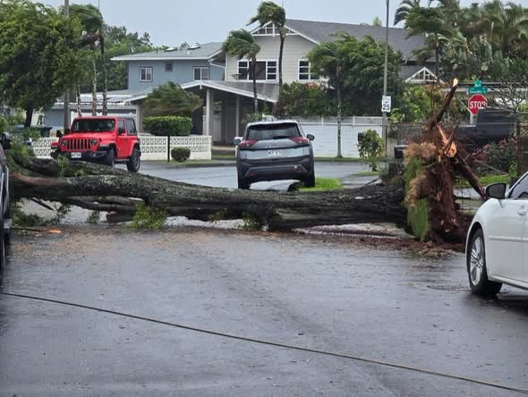 WEATHER ALERT - Oahu | SSH Search