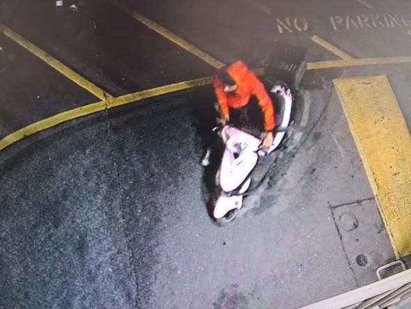 VEHICLE THEFT - Oahu | SSH Search