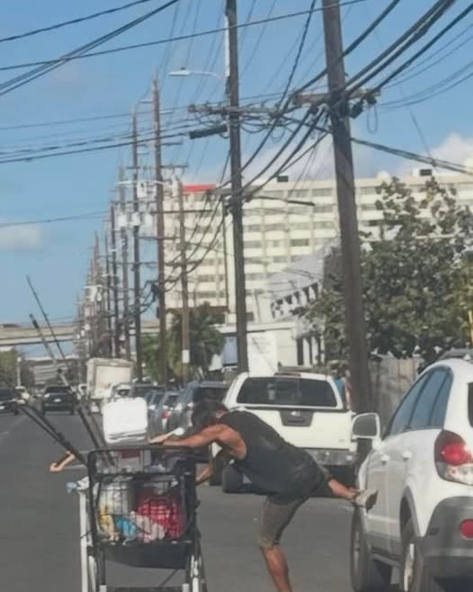 CRIMINAL PROPERTY DAMAGE - Oahu | SSH Search