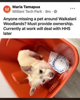FOUND PET - Oahu | SSH Search