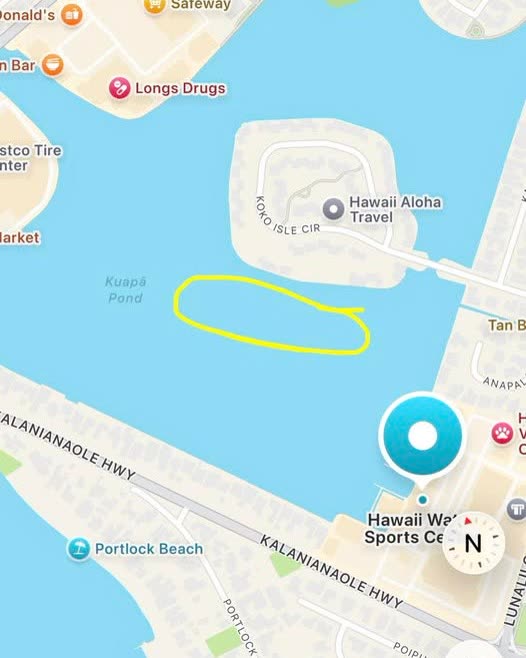 LOST ITEM - Oahu | SSH Search