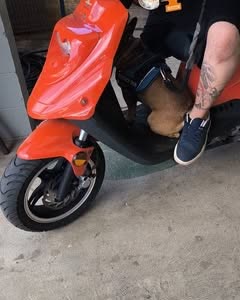 VEHICLE THEFT - Oahu | SSH Search
