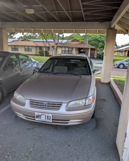 VEHICLE THEFT - Oahu | SSH Search