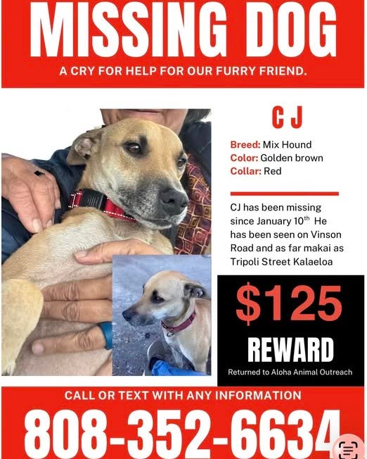 LOST PET - Oahu | SSH Search