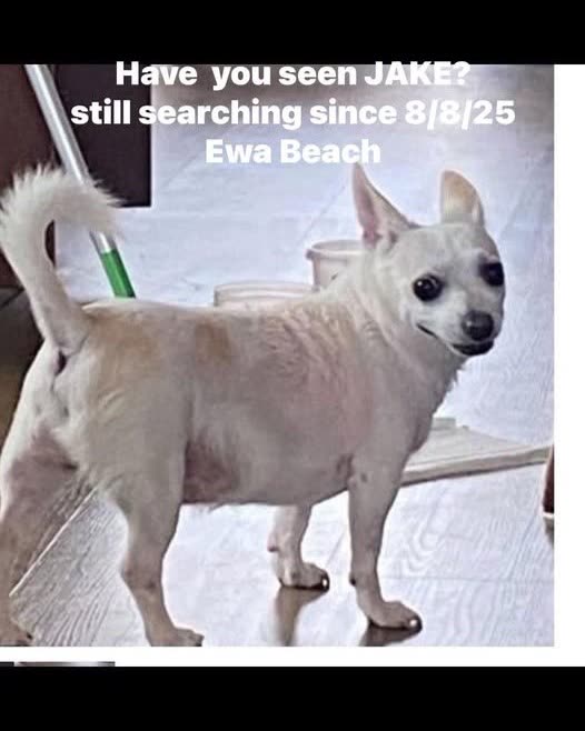 LOST PET - Oahu | SSH Search