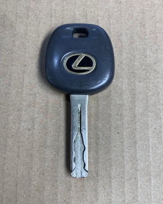 LOST ITEM - Oahu | SSH Search