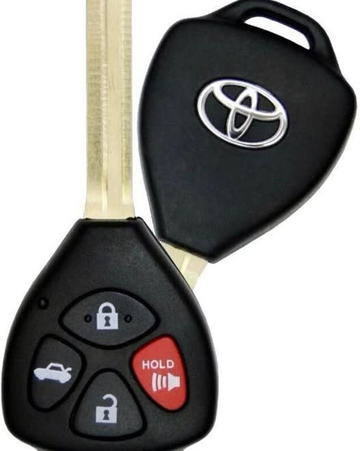 LOST ITEM - Oahu | SSH Search
