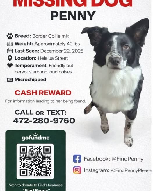 LOST PET - Oahu | SSH Search