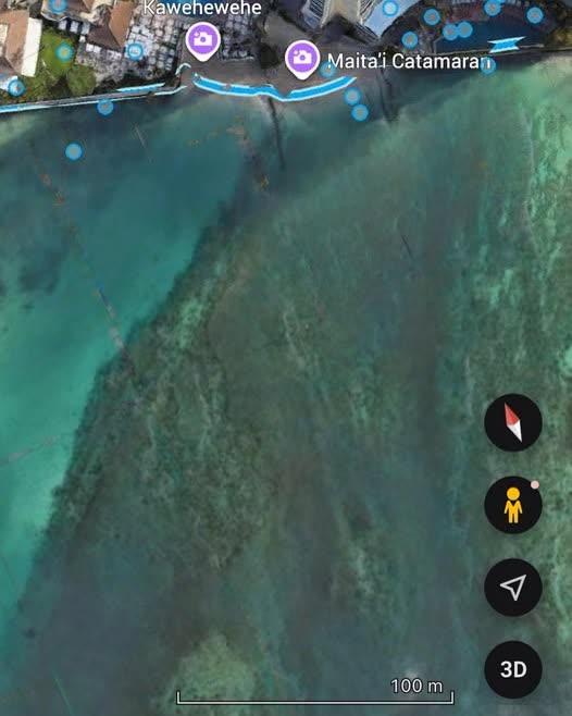 LOST ITEM - Oahu | SSH Search